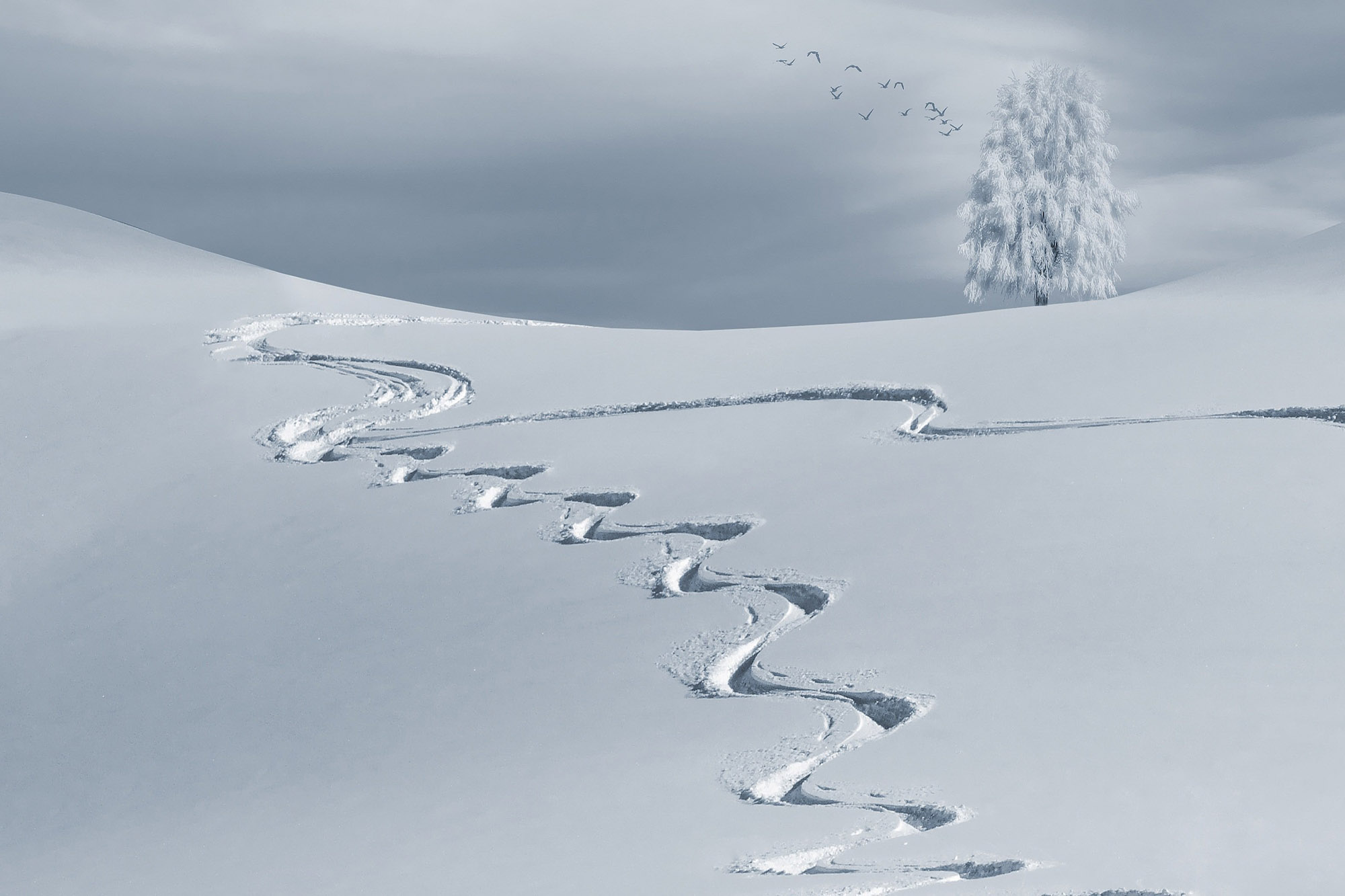 Z & V Reinigungsservice Gebäudereinigung Winterdienst