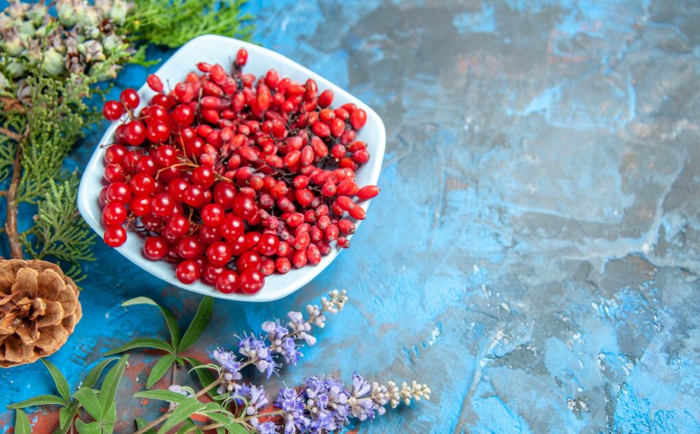 Berberis och dess egenskaper-persiskt.se