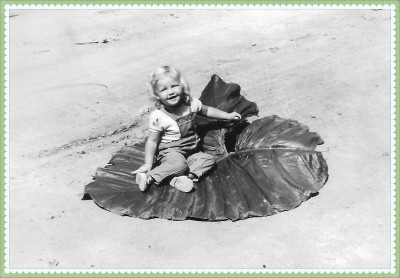 Image Thumbnail
