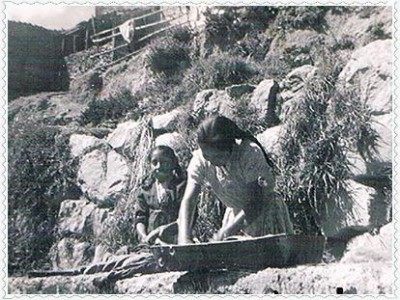 Image Thumbnail