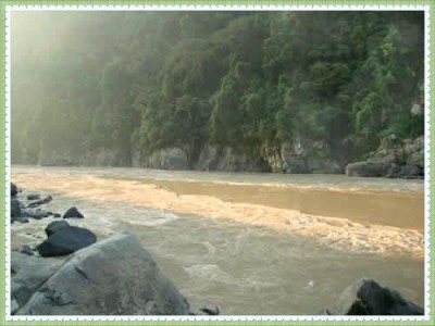 Image Thumbnail
