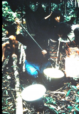 Image Thumbnail