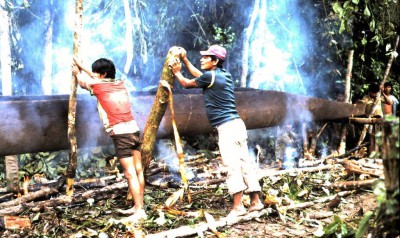Image Thumbnail