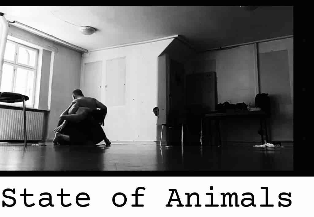 State of Animals. Still from rehearsal video