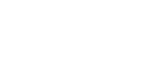 Nettoline