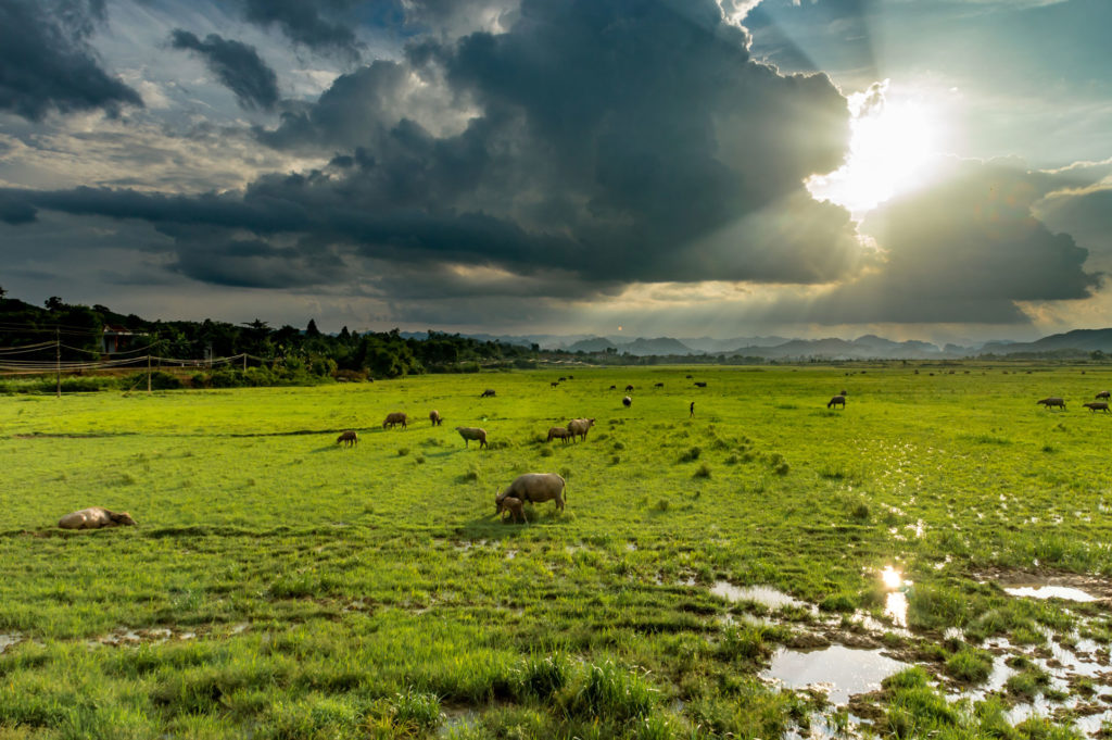 phong nha farmstay, Phong Nha Ke Bang, phong nha, Phong Nha Village, Phong Nha rural