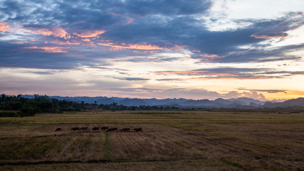 phong nha farmstay, Phong Nha Ke Bang, phong nha, Phong Nha Village, Phong Nha rural, Vietnamese rural, phong nha caves, Phong Nha Ke Bang National Park