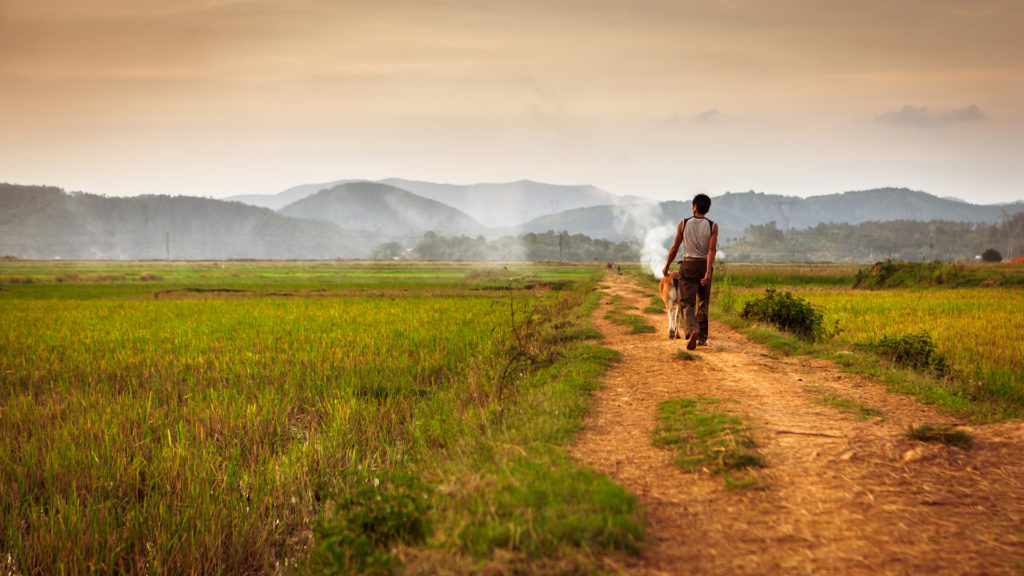 phong nha farmstay, Phong Nha Ke Bang, phong nha, Phong Nha Village, Phong Nha rural, Vietnamese rural, phong nha caves, Phong Nha Ke Bang National Park