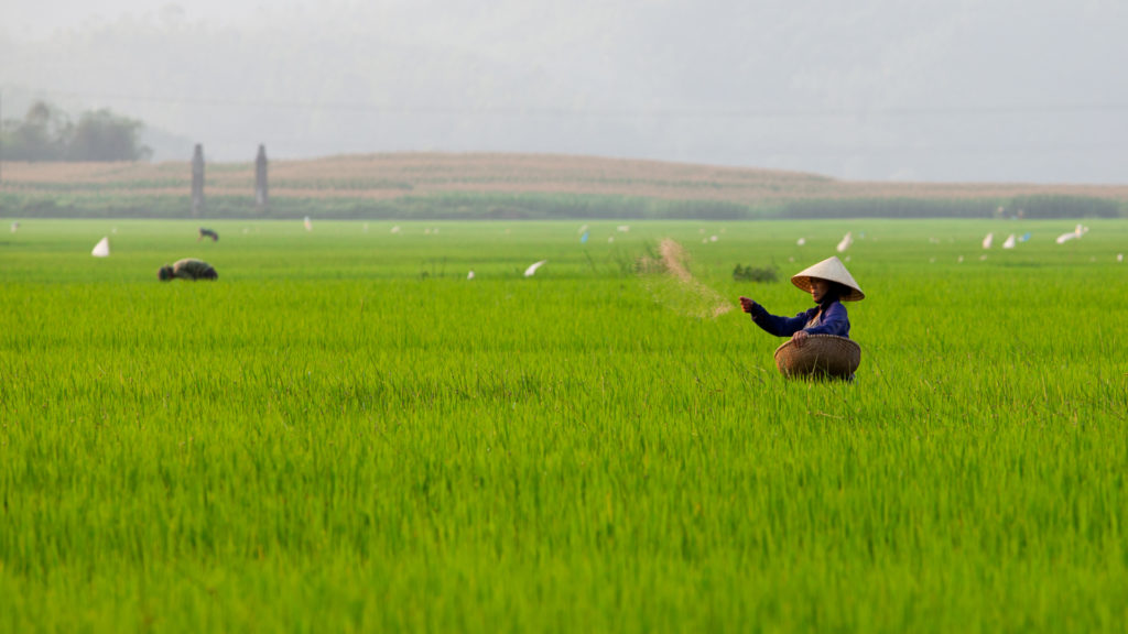 phong nha farmstay, Phong Nha Ke Bang, phong nha, Phong Nha Village, Phong Nha rural, Vietnamese rural, phong nha caves, Phong Nha Ke Bang National Park