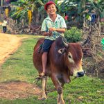 phong nha farmstay, Phong Nha Ke Bang, phong nha, Phong Nha Village, Phong Nha rural, Vietnamese rural, phong nha caves, Phong Nha Ke Bang National Park