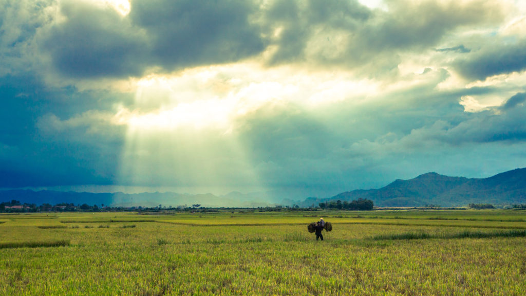 phong nha farmstay, Phong Nha Ke Bang, phong nha, Phong Nha Village, Phong Nha rural, Vietnamese rural, phong nha caves, Phong Nha Ke Bang National Park