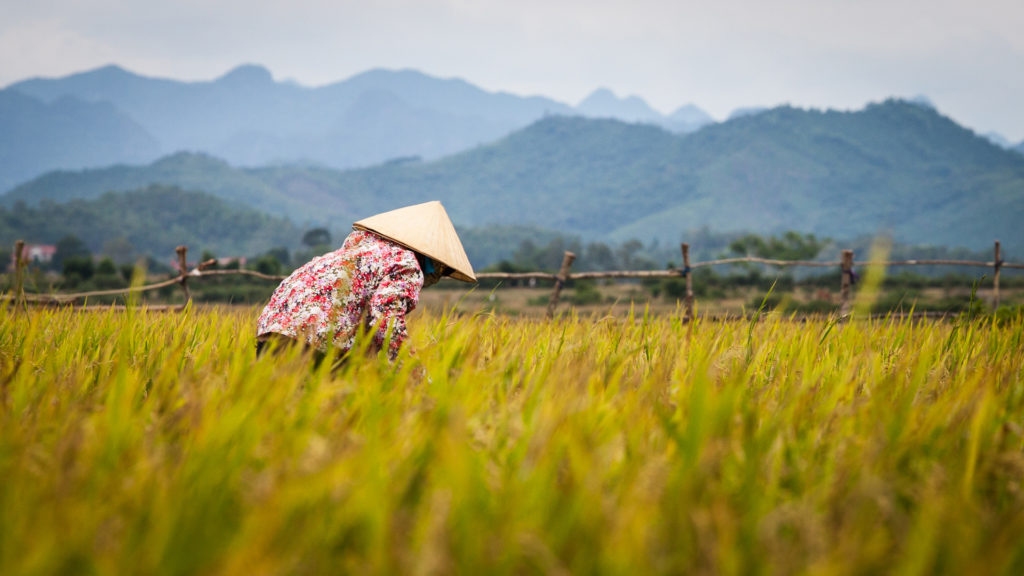 phong nha farmstay, Phong Nha Ke Bang, phong nha, Phong Nha Village, Phong Nha rural