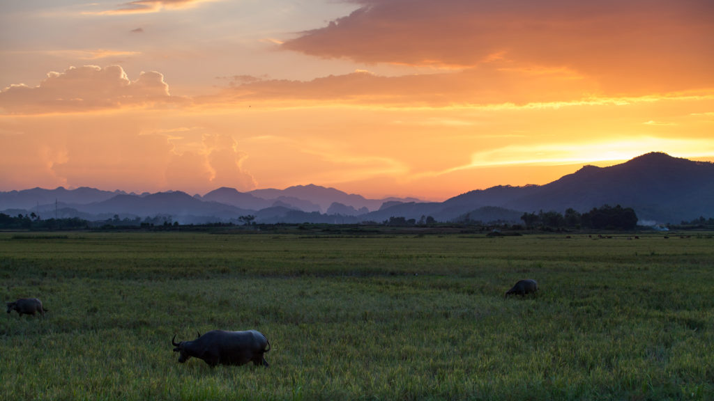 phong nha farmstay, Phong Nha Ke Bang, phong nha, Phong Nha Village, Phong Nha rural