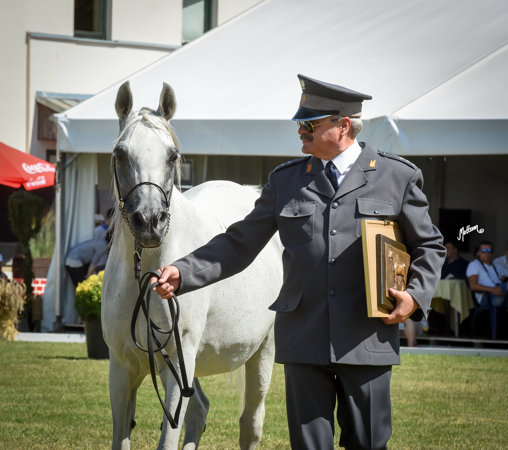 Palmeta and Marek Trela - 2015 WAHO tropy award