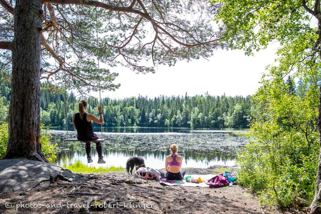 Relaxing in Nordmarka