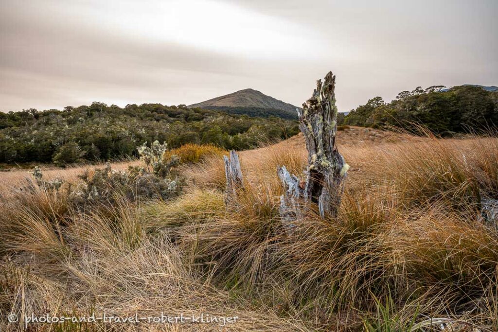 The Landscape in the Kahurangi Nationalpark