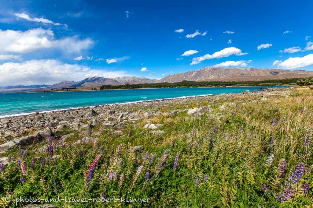 Lake Tekapo in New Zealand
