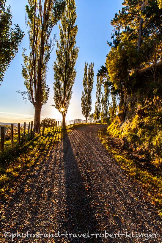 A beautiful road on the North Island, New Zealand