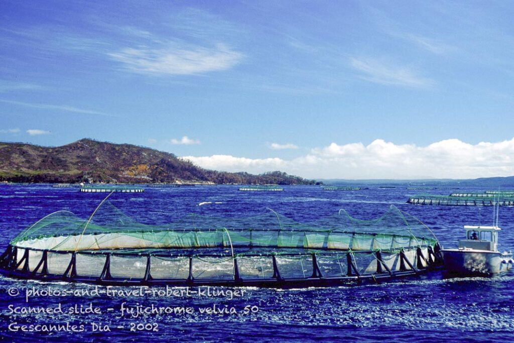 A salmon farm in Tasmania