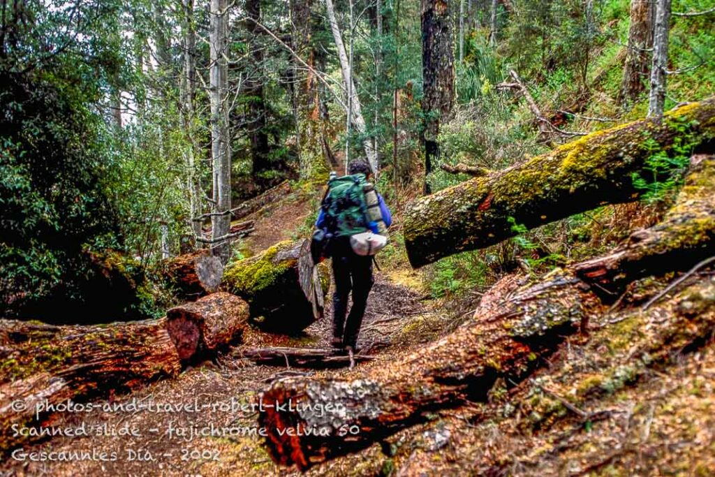 A hiker starting the Overland track in Tasmanai