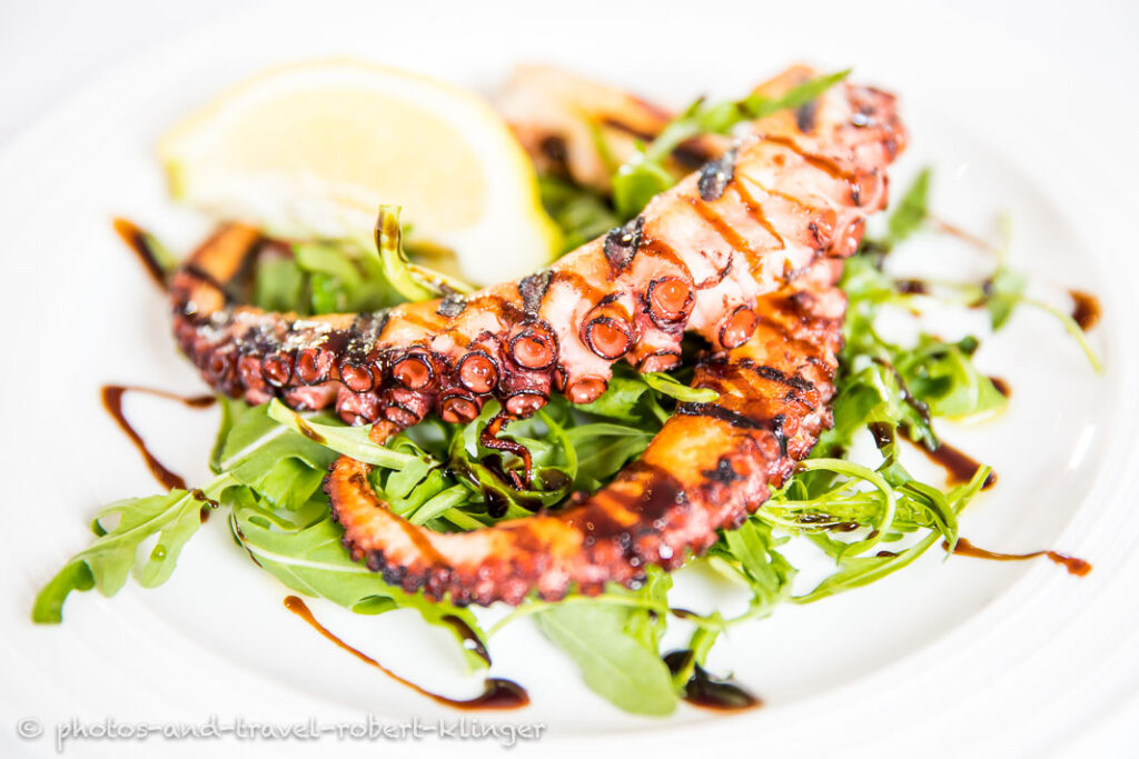 Food photography