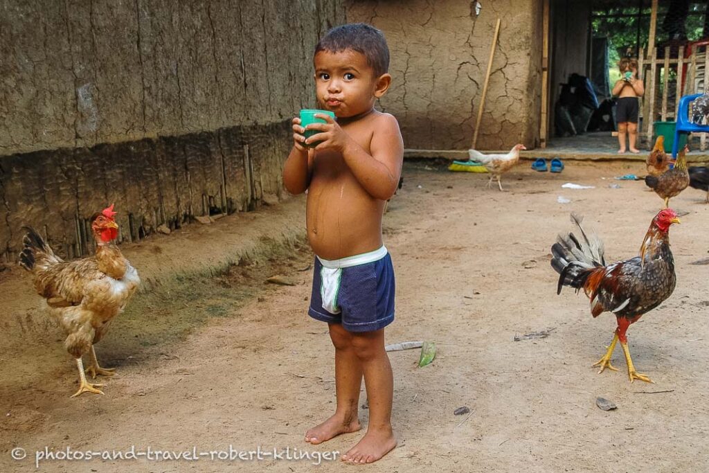 A little boy and his chicken in Colombia