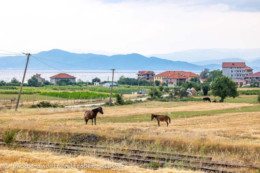 The village of Lin at lake Ohrid in Albania