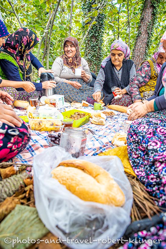 Women having a rest from hazelnut picking