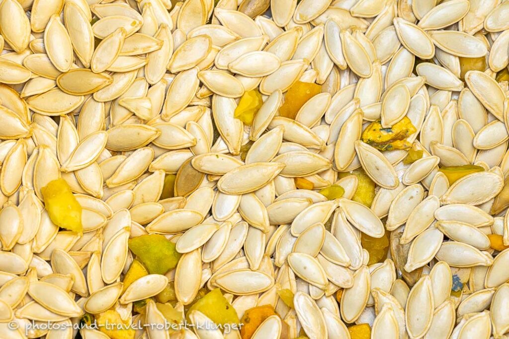 Harvested pumpkin seeds in Cappadocia, Turkey