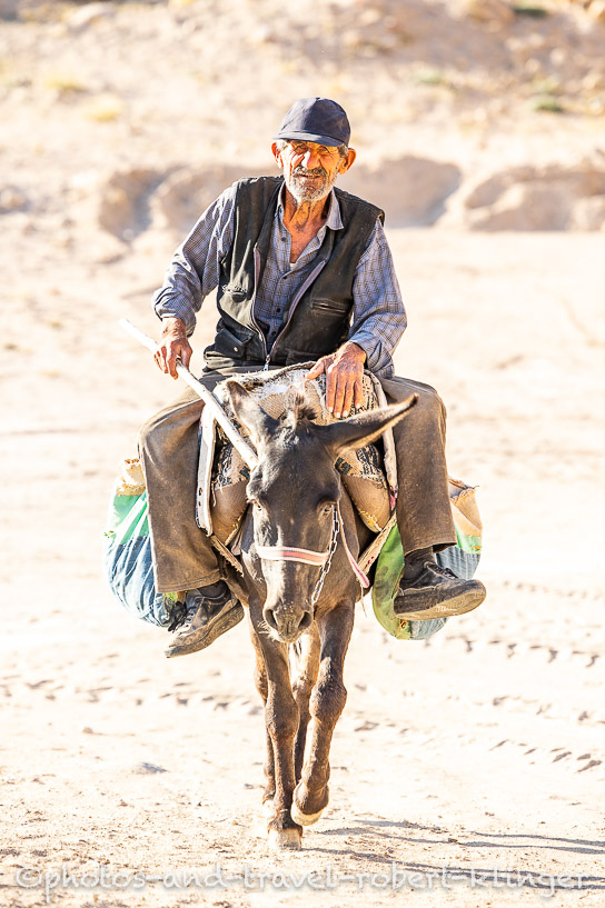 A man on a donkey in the Ihlara Valley chasing a cow