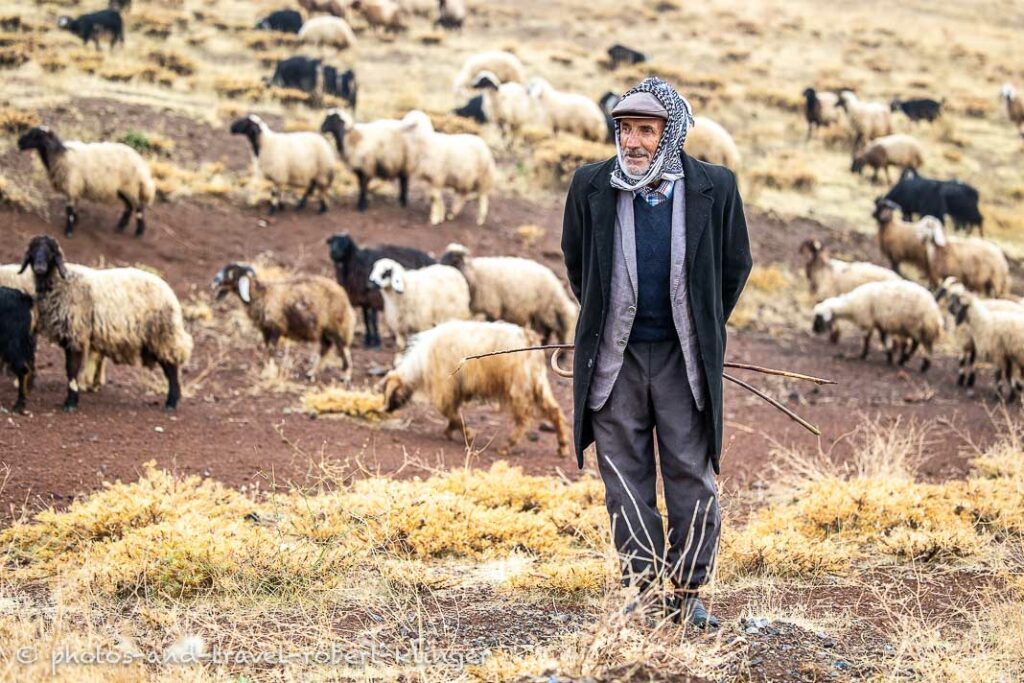 A shepard at Lake Van