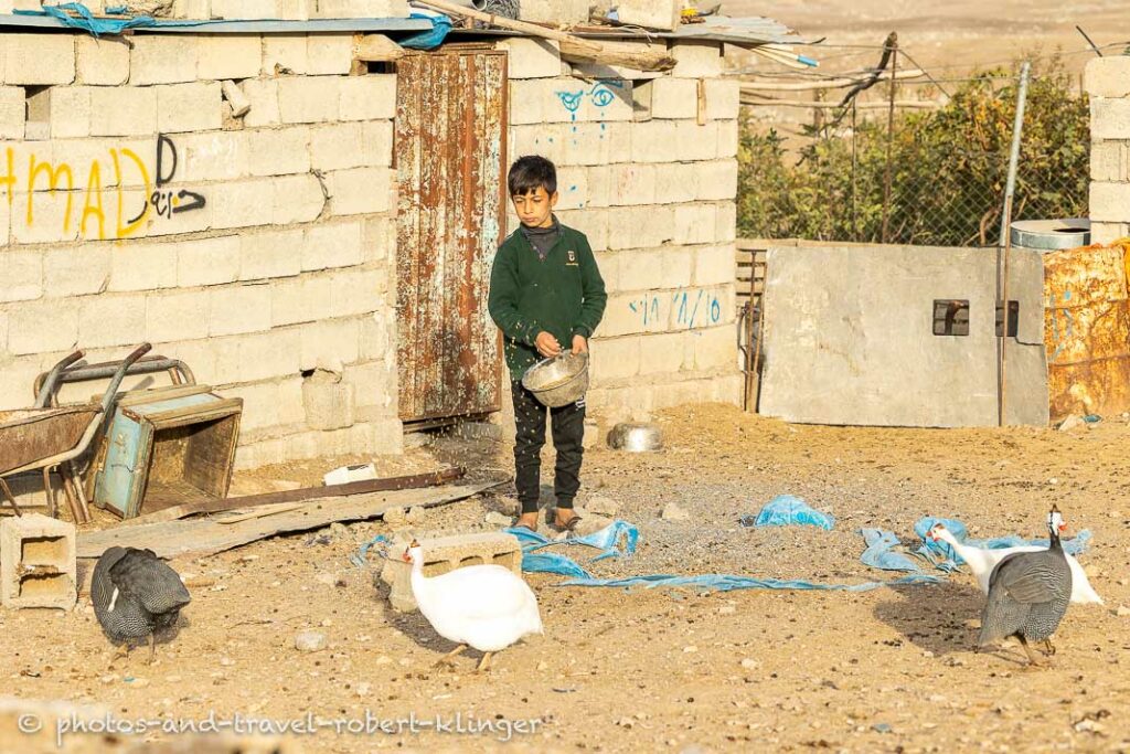 A young boy feeding his chicken in a village in Kurdistan, Iraq