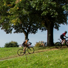 MDB_WCX-R3-566_20231015