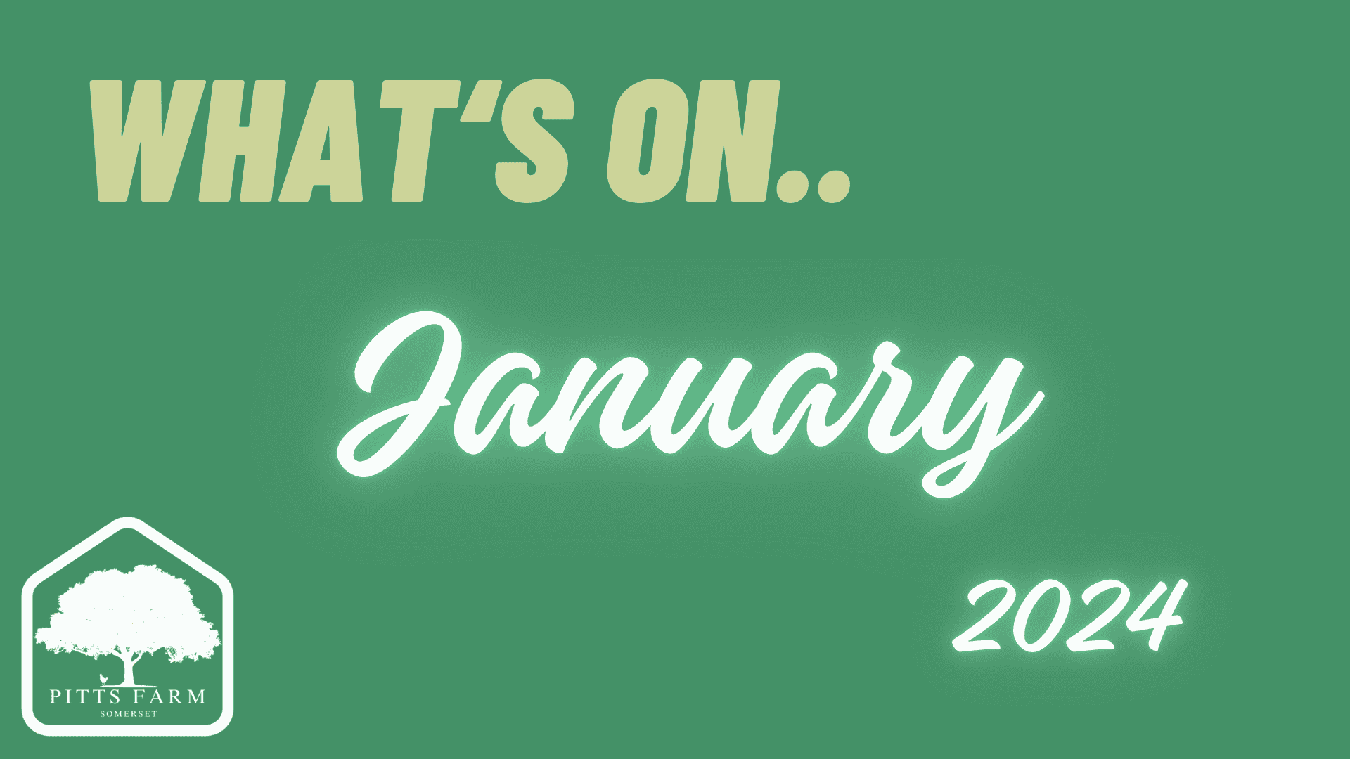 What's On January