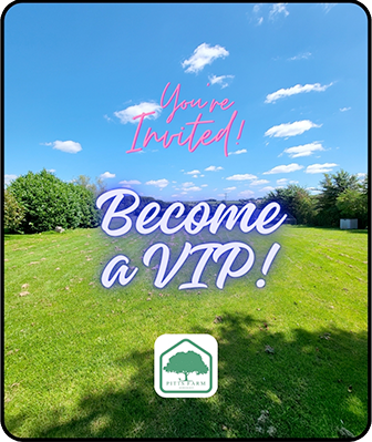 vip