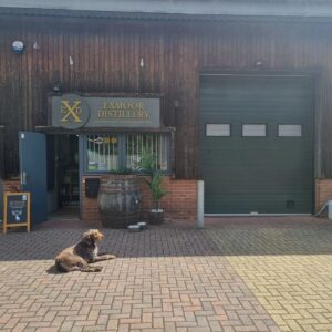 A dog lazes in the sun in front of the entrance to Exmoor Distillery.