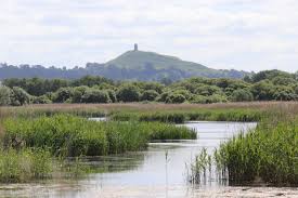 Ham Wall wetland with Glastonbury tor in the background