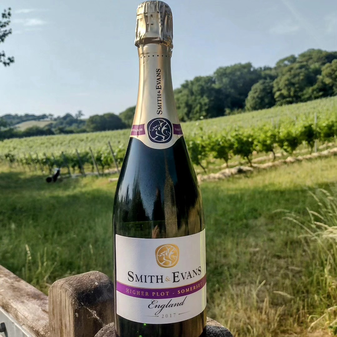 Smith & Evans A bottle of Smith & Evans wine sits atop a gate, with the rows of vines disappearing into the distance behind