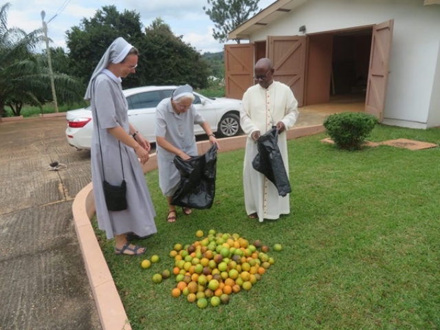 2020-10-21 sVianeya (1)