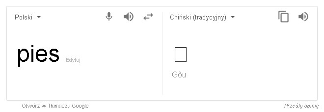 translator google z polskiego na chiński