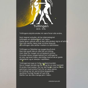 tvilling stjernetegn plakat