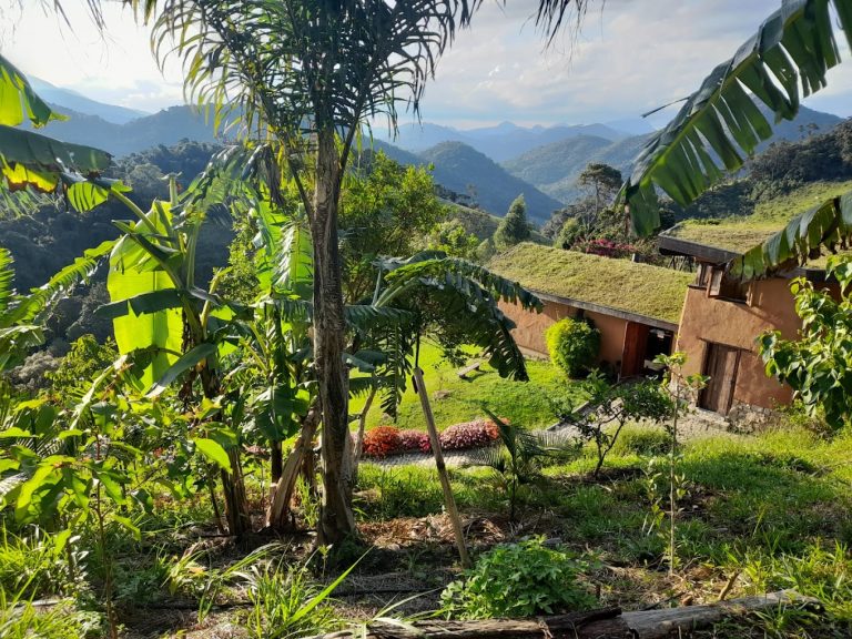 Eco Caminhos
