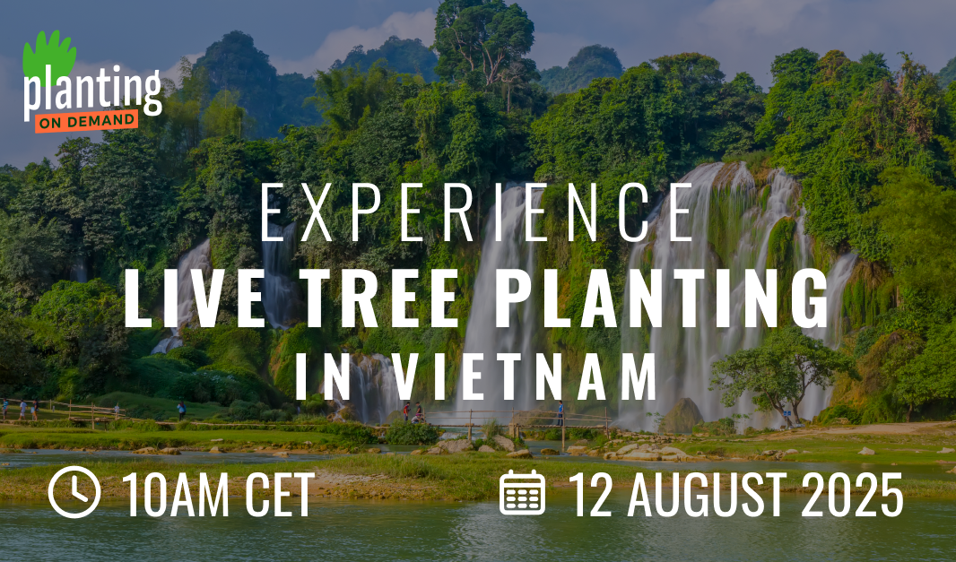 Join our Live Planting in Vietnam — 12 Aug 2025