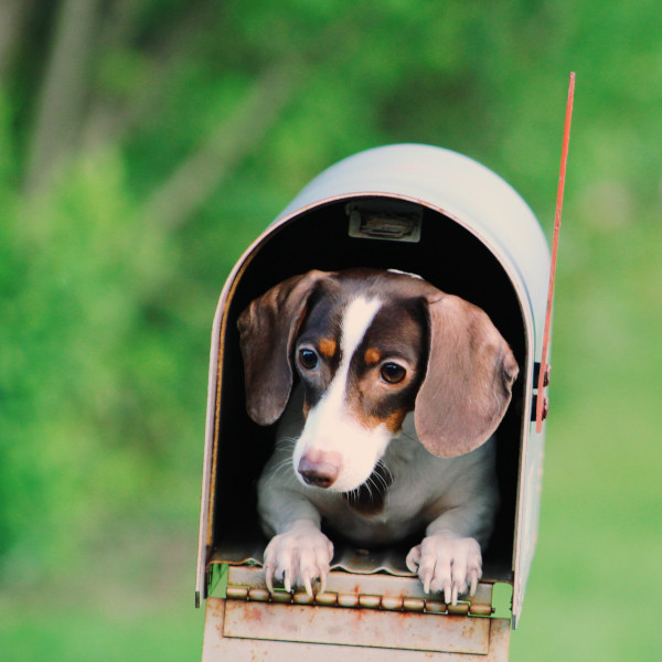 En postbox med en fin liten Tax i.