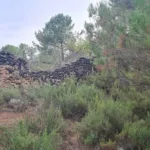 El Moncayo Properties offers for sale this impressive rustic plot of 9