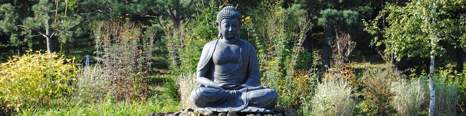 buddha - Copy