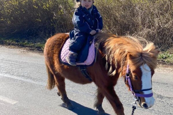 Lille barn på pony