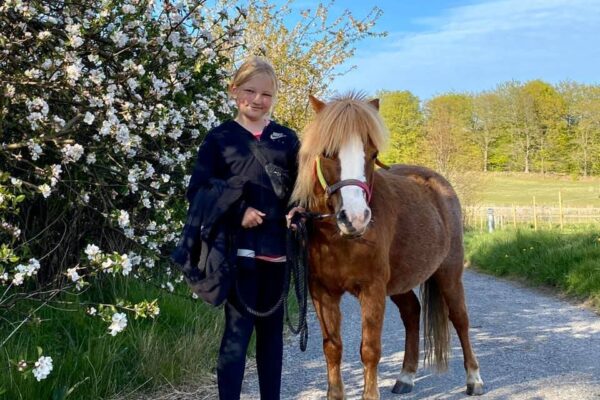 Barn der går med en pony