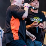 Grøn Koncert, GK15, Grøn Koncert 2015