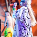 Die Antwoord, Roskilde Festival 2015, RF15, Orange Scene